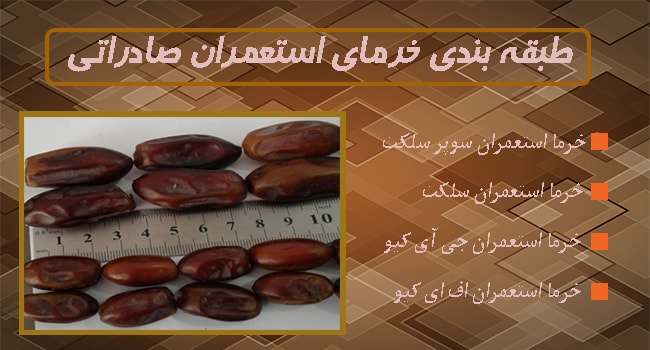 خرما استعمران صادراتی خوزستان