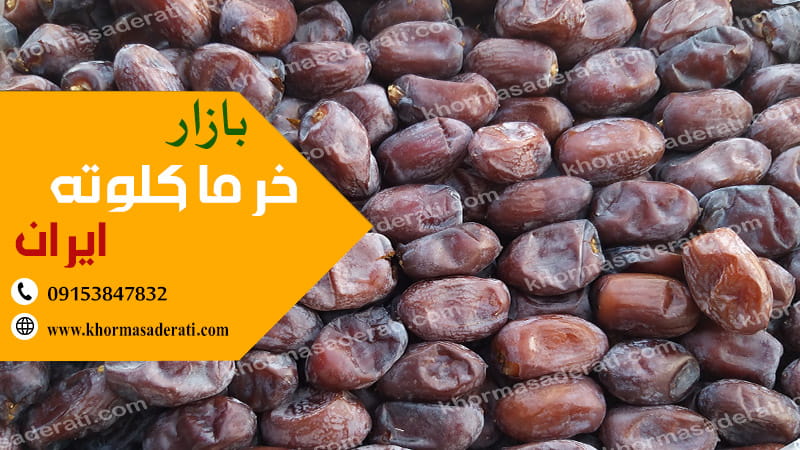 بازار خرما کلوته ایران