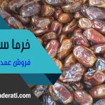 فروش خرمای سایر خوزستان