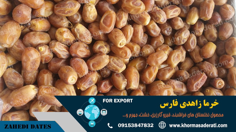 صادرات خرما زاهدی فارس