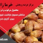 خرما زاهدی شیراز