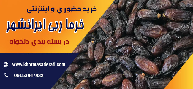 خرید خرما خشک ربی ایرانشهر